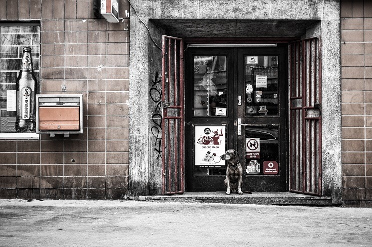 recomendaciones lingüísticas, direcciones
